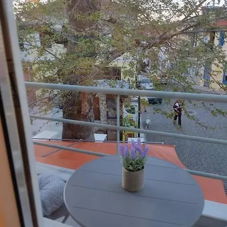 Plane Tree House *