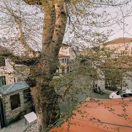 Plane Tree House Villa *