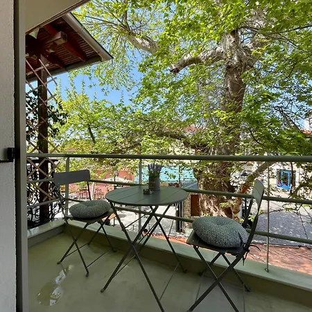 Plane Tree House *