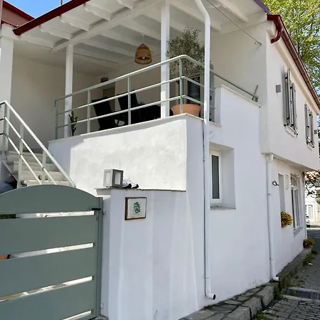 וילה Plane Tree House Proti
