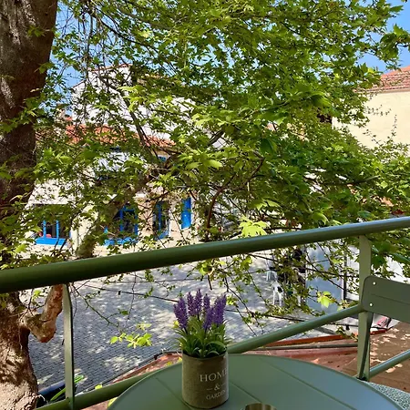 Plane Tree House