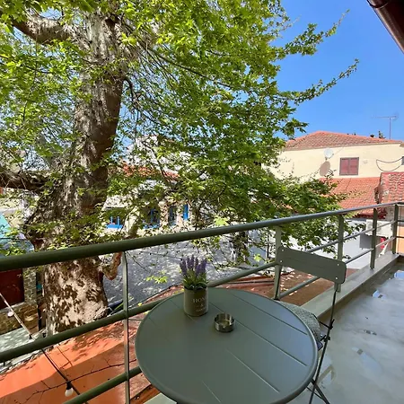 Plane Tree House Villa Proti