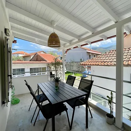 Plane Tree House