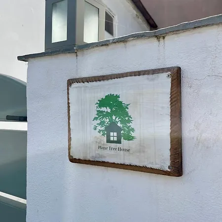 Villa Plane Tree House