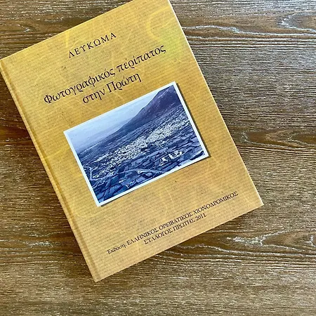 Plane Tree House Proti