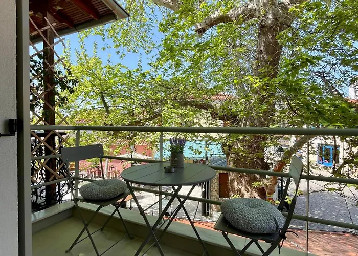 Plane Tree House *