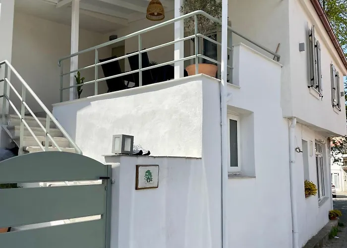 וילה Plane Tree House Proti