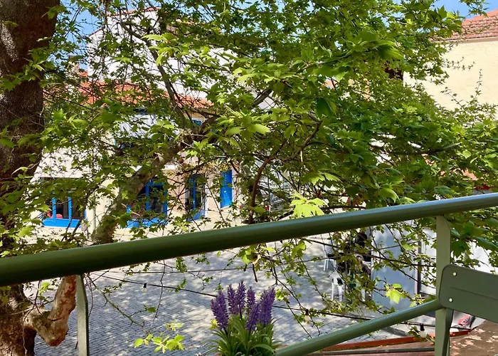 Plane Tree House