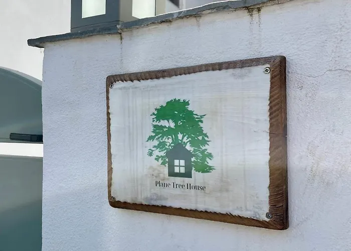 וילה Plane Tree House